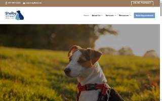 Shelby Street Animal Clinic website