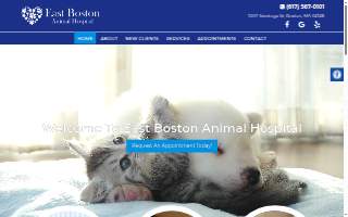East Boston Animal Hospital website