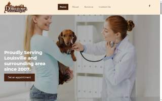 The Downtown Animal Hospital website