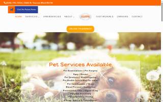 University Pet Clinic website