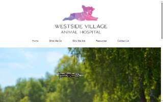 Westside Village Animal Hospital website
