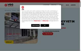 Veterinary Emergency Group of Miami website