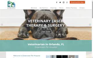 Downtown Pet Hospital website