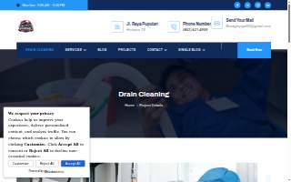 Affordable Plumbing Services Houston website