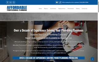 Affordable Professional Plumbing website