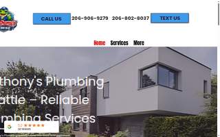Anthony's Plumbing Company website