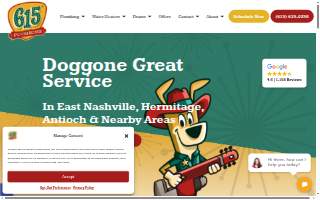615 Plumbing website