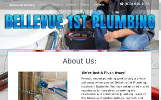 Bellevue 1st Plumbing website