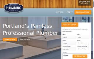 Meticulous Plumbing website