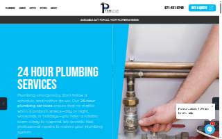 Proline Plumbing website