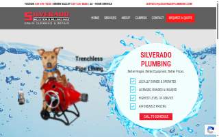 Silverado Rooter & Plumbing website
