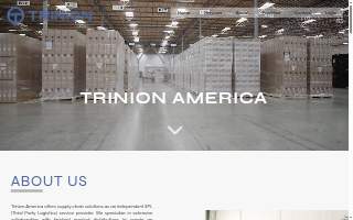 Trinion America, Inc website