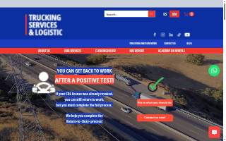 Trucking Services & Logistic LLC website