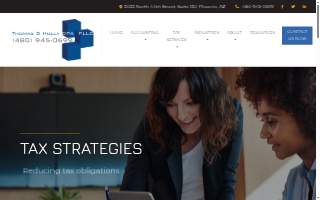 Thomas S Holly CPA, PLLC website