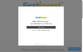 First Invest Inc., Accounting & Tax Services website