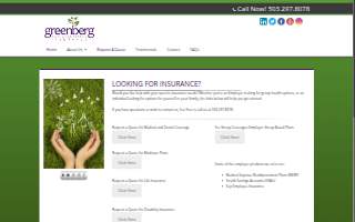 Greenberg & Associates Insurance website