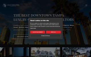 Adam Fernandez Realty: Tampa Realtor - Keller Williams Tampa Central website