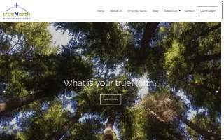 trueNorth Wealth Advisors website