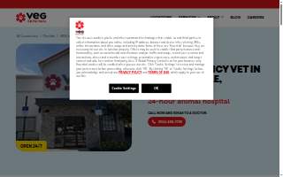 VEG ER for Pets of Jacksonville website