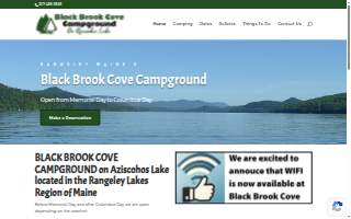 Black Brook Cove Campground website