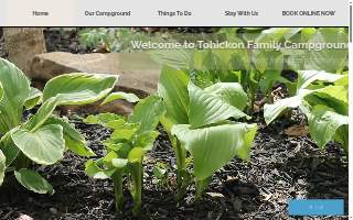 Clover D Inc website