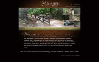 Mississippi Petrified Forest website