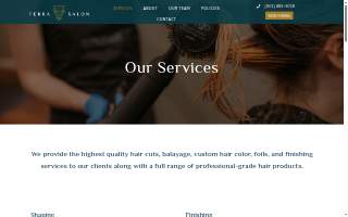 Terra Salon website
