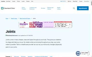 The Joint Chiropractic of Ogden website