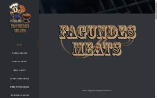 Fagundes Plumbing Heating AC website