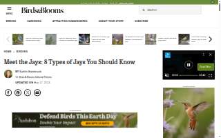 Jay Combes | Our Home of LPT Realty website