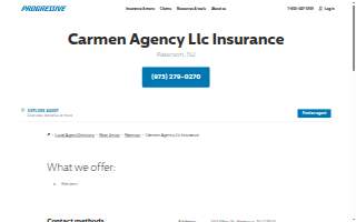 Carmen's Insurance Agency website
