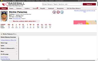 Palacios Construction LLC website