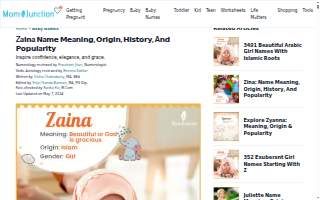 Zaina Service Tech website