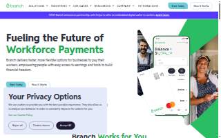 Branch Electric Inc website