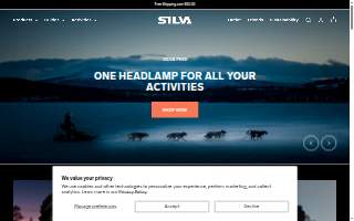 Silva Taxes & Insurance Llc website