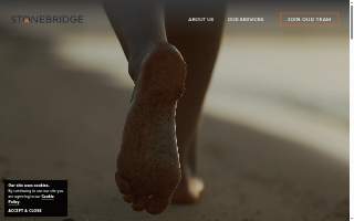 Stonebridge Financial Group, LLC website