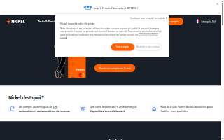 Nickel Electric Inc website