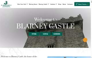 Blarney Stone Pub - Sioux Falls website
