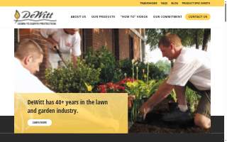 DeWitt Chiropractic website