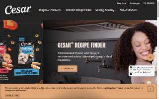 Cesar Hair Salon website