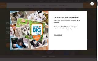 Paws & Claws Animal Hospital website