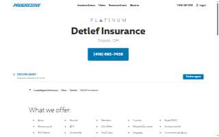 Detlef Insurance website