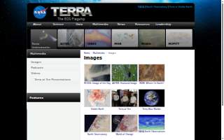 Terra Turf website