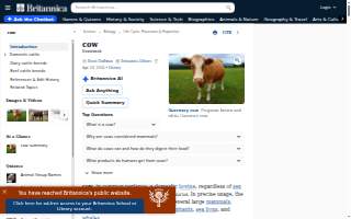 Cow & Cabbage website