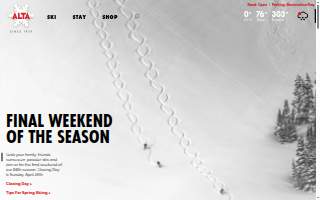 Alta Animal Hospital website