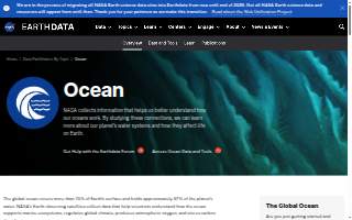 Ocean Dental of Corpus Christi website