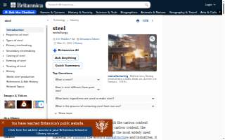 Steel Fitness & Tan website