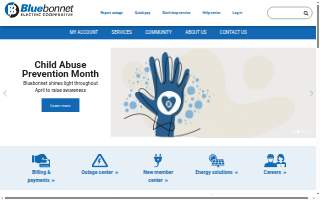 Bluebonnet Bar website