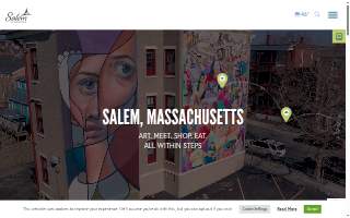 Salem Chiropractic and Wellness website