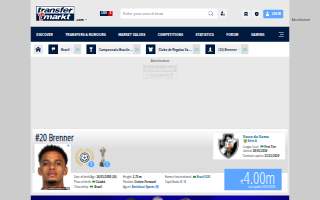 Brenner & Company, LLP website